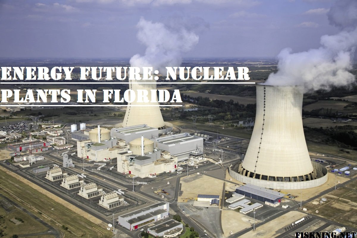 Nuclear Plants in Florida